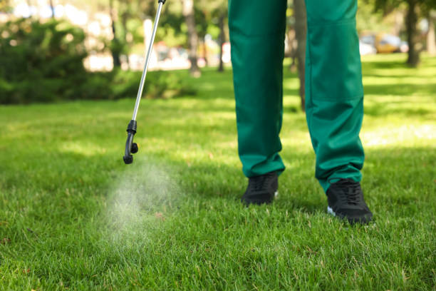 Best Pest Inspection Near Me  in , MA
