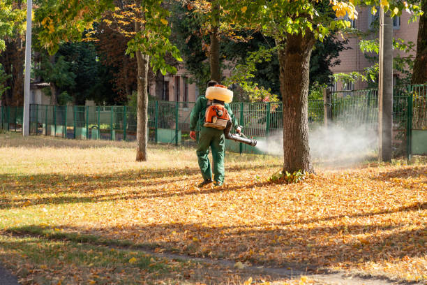 Best Affordable Pest Control Services  in , MA